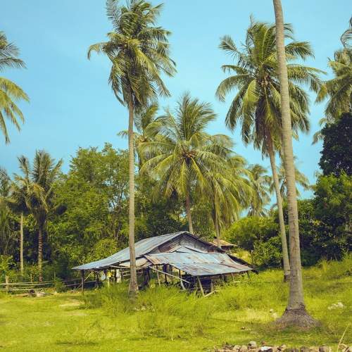 Photo #10121938