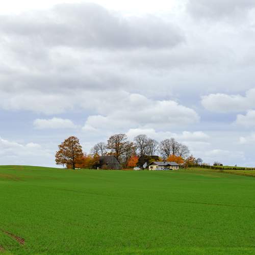 Photo #10122090