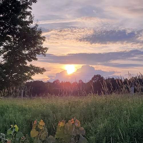Photo #10122353