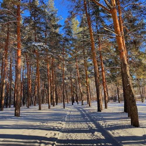 Photo #10122417