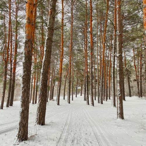 Photo #10122419