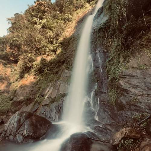 Photo #10122547