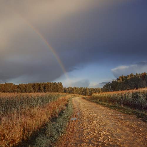 Photo #10123544