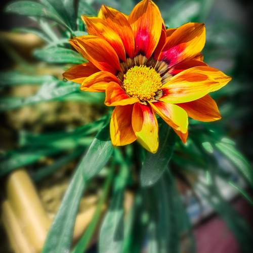 Photo #10123592