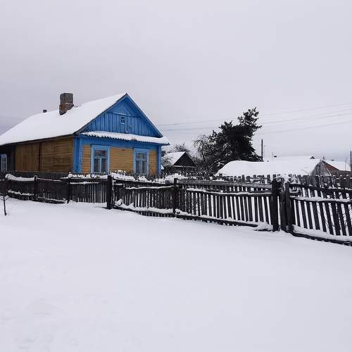 Photo #10123996