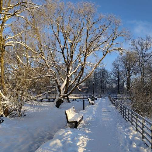 Photo #10124182
