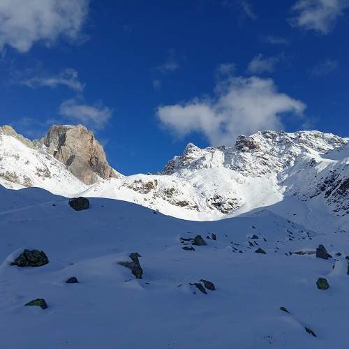 Photo #10124429