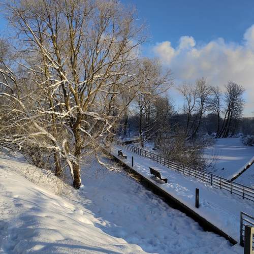 Photo #10124450