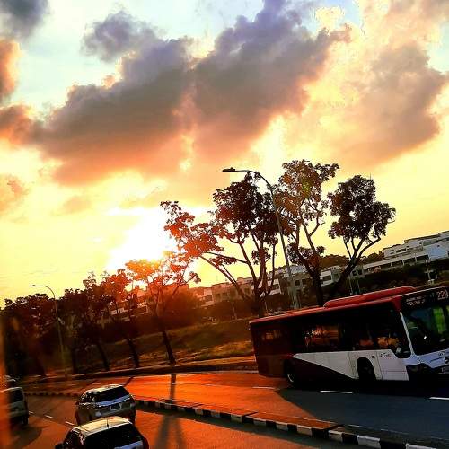 Photo #10124455