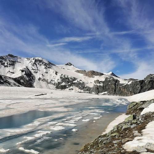 Photo #10124470