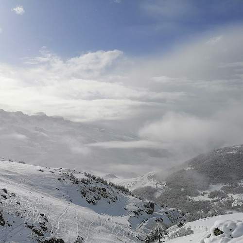 Photo #10124539