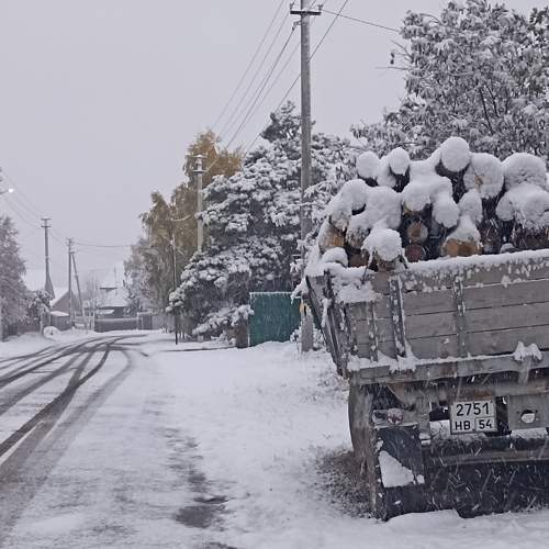 Photo #10124541