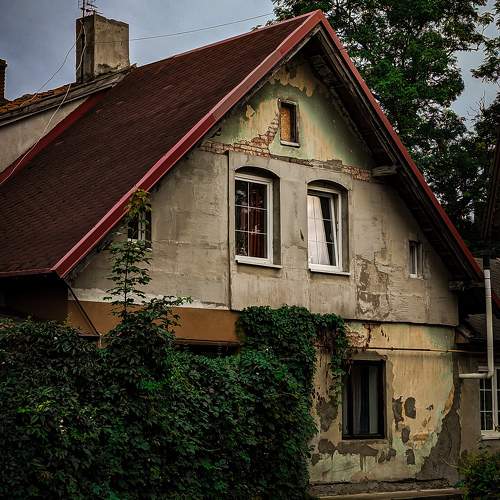 Photo #10124646