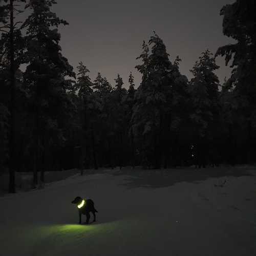 Photo #10124915