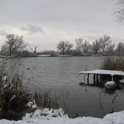 Photo #10125070
