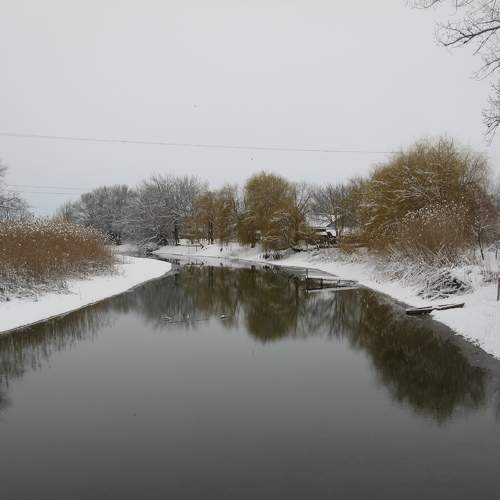 Photo #10125072