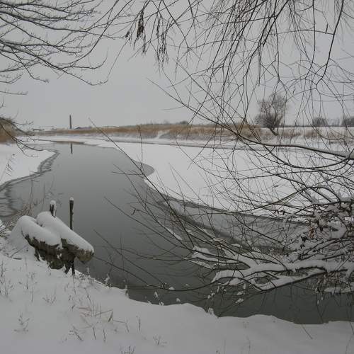 Photo #10125089