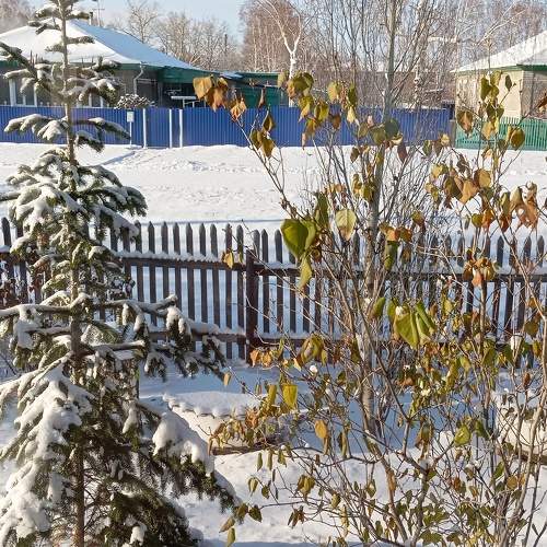 Photo #10125557