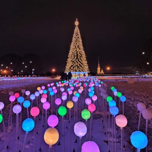 Photo #10125600