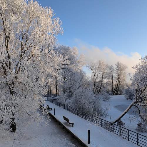 Photo #10125646