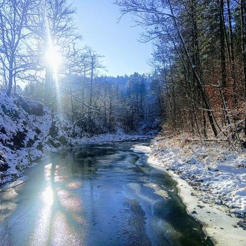 Photo #10126792