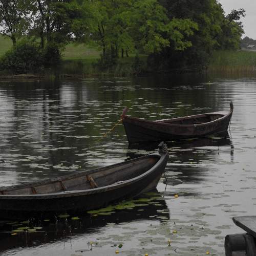 Photo #10127077