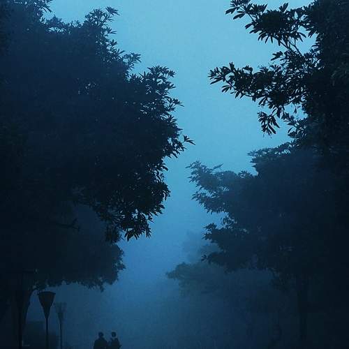 Photo #10128184