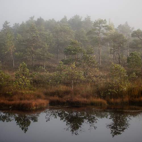 Photo #10128396