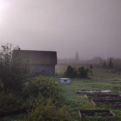 Photo #10128785