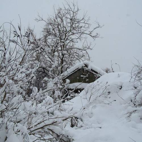 Photo #10128807