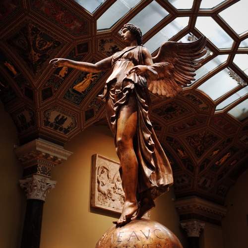 Photo #10128940