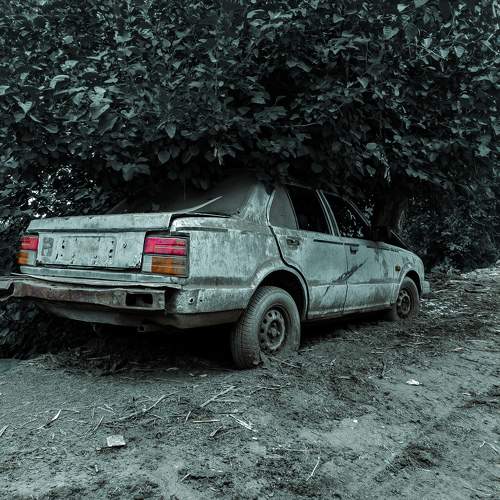 Photo #10129158