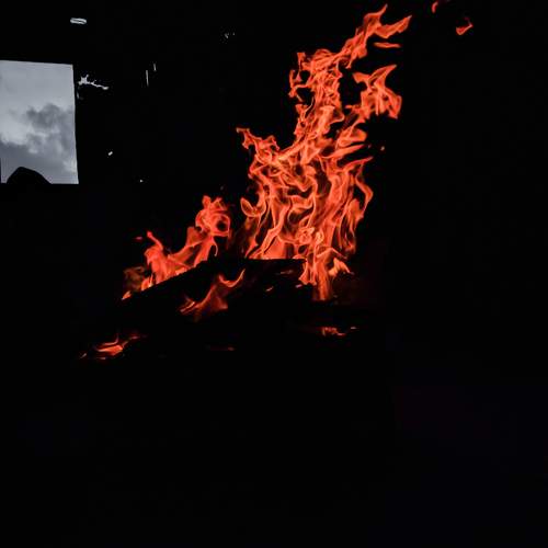 Photo #10129199
