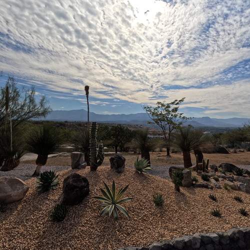 Photo #10129271