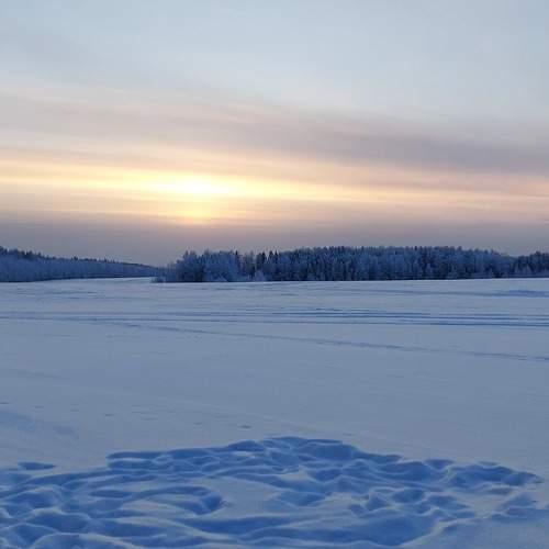 Photo #10129667