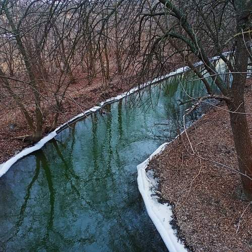 Photo #10129897