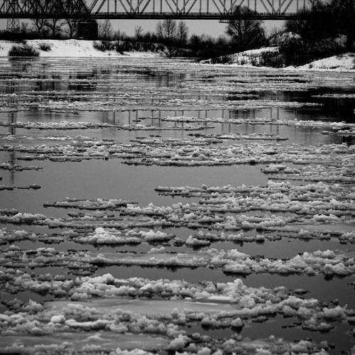 Photo #10130280