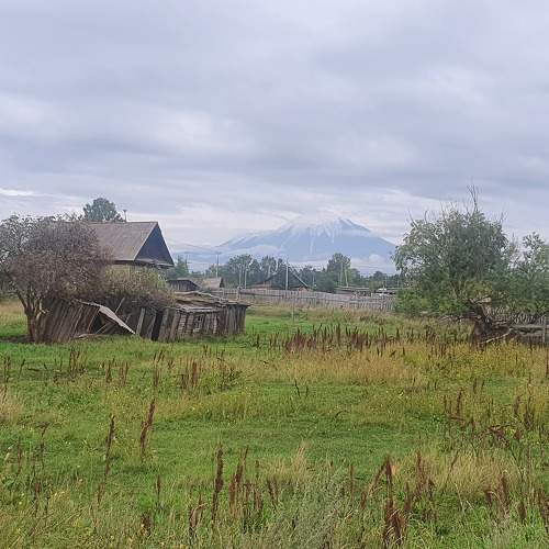 Photo #10130561