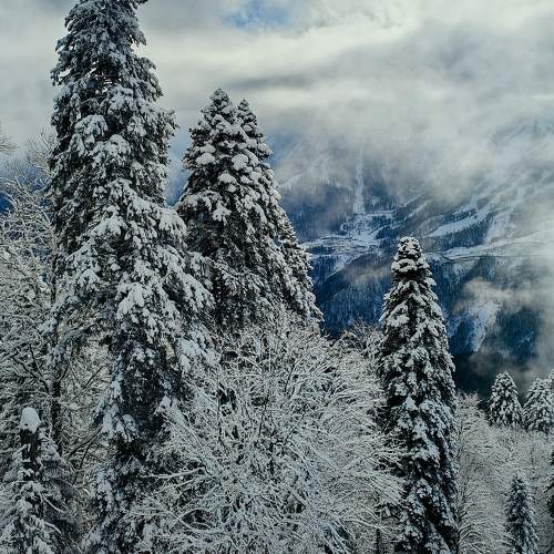 Photo #10130997