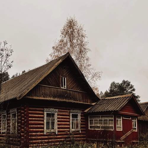 Photo #10131155