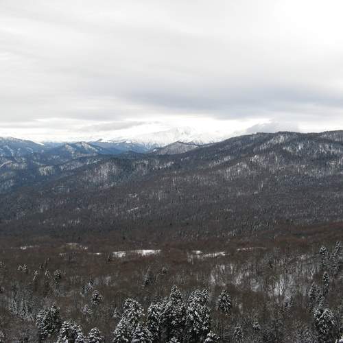 Photo #10131383
