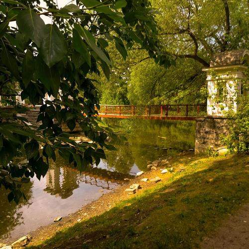 Photo #10131911