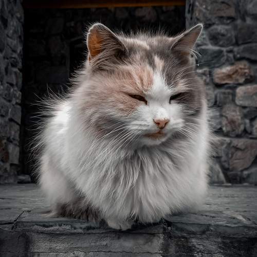 Photo #10132257