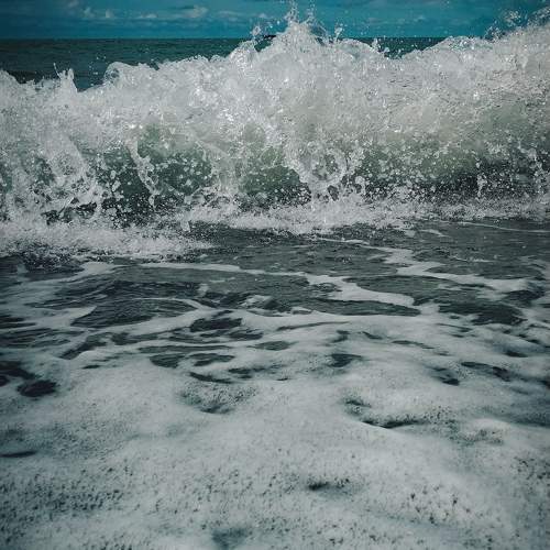 Photo #10132270