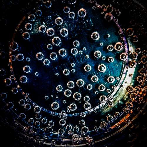 Photo #10132278