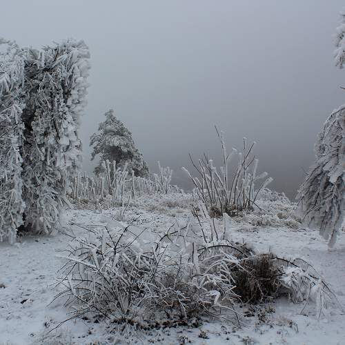 Photo #10132330