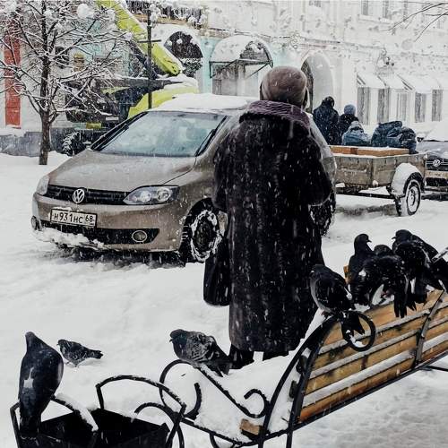 Photo #10132484