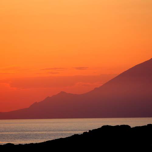 Photo #10132575