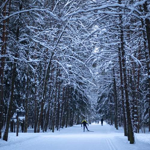 Photo #10132748