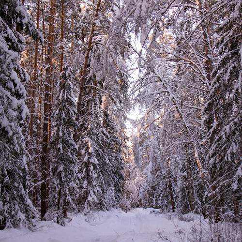 Photo #10133058
